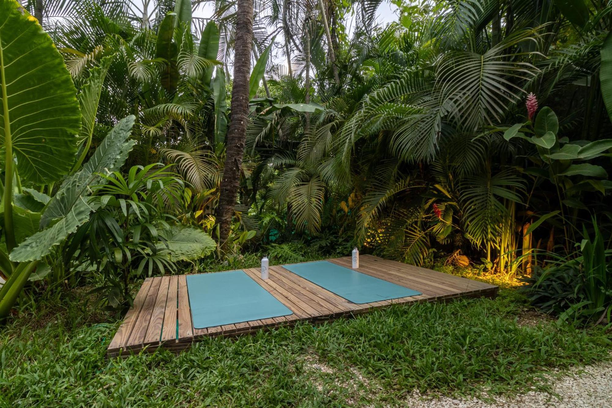 Hotel Blue Surf Sanctuary à Playa Santa Teresa  Extérieur photo
